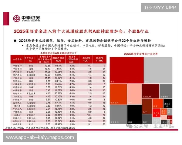 险资投资高股息股票的秘密武器，险资 股权投资