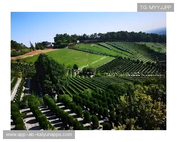 高原牧马节激战，登山运动逐步走向国际舞台，牧马山在哪儿